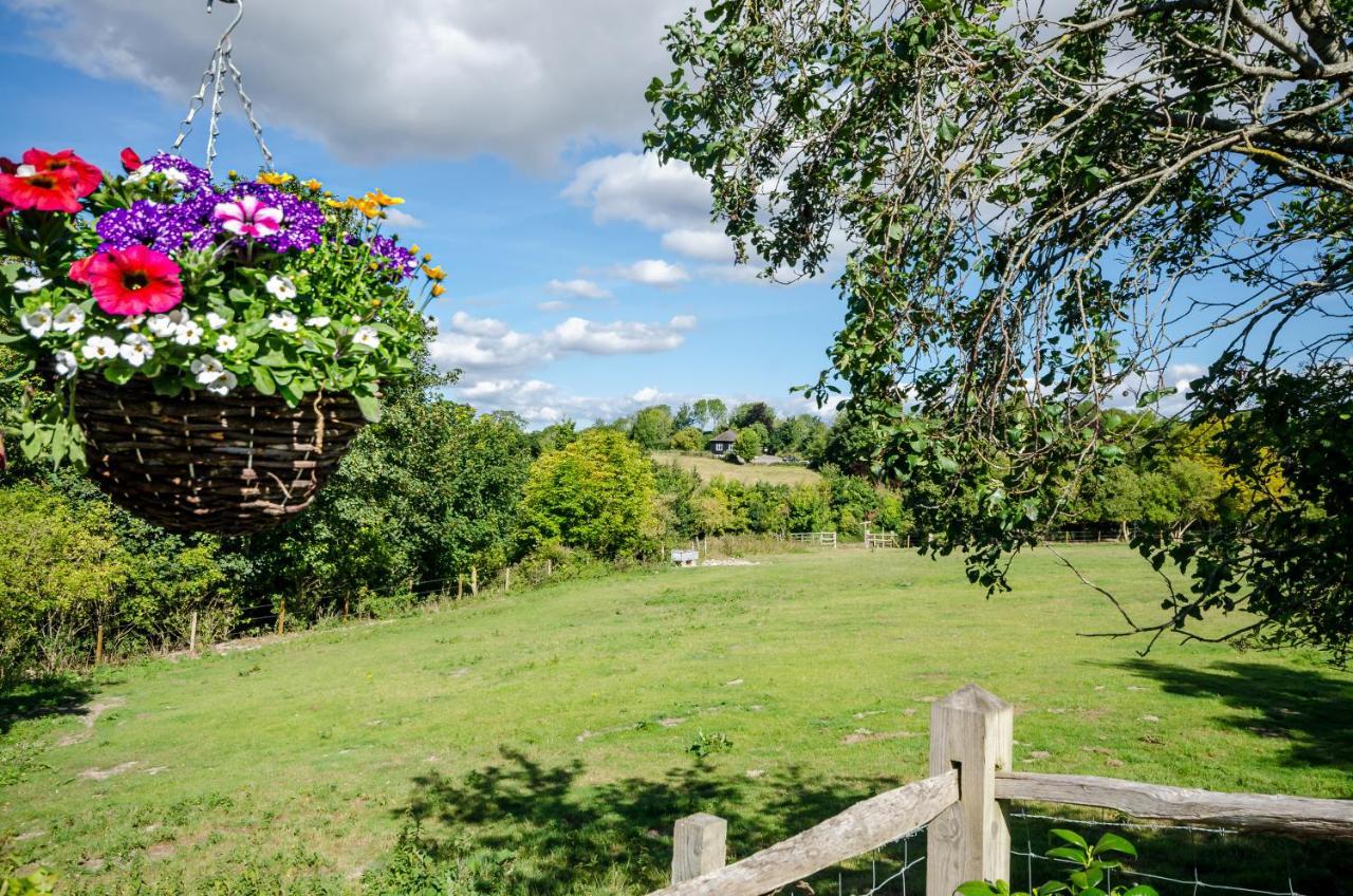 Lavender Lodge أروندل المظهر الخارجي الصورة